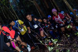 BIB: 
                            <button type="button" onclick="openModal(19039908)" class="btn btn-primary btn-sm float-right btn-popup" data-toggle="modal" data-target=".modal-high-quality">
                        <i class="fas fa-shopping-cart"></i> Add to Cart
                    </button>
                                            <button type="button" onclick="isThisMe(19039908, true)" class="btn btn-success btn-sm float-right btn-popup btn-isme hidden" data-toggle="tooltip" data-placement="bottom" title="นี่คือรูปของคุณใช่ไหม คลิกที่นี่เพื่อเอาเข้าอัลบั้ม">
                        <i class="fas fa-plus"></i> Add to album
                    </button>
                    <button type="button" onclick="isThisMe(19039908, false)" class="btn btn-warning btn-sm float-right btn-popup btn-isnotme hidden">
                        <i class="fas fa-ban"></i> Remove from album
                    </button>